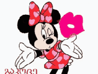 A Minnie Challenge –&nbsp;Review